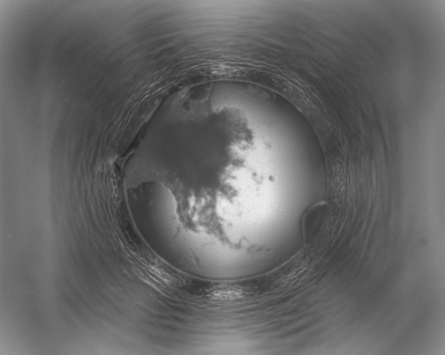 X0000058790653200510171321