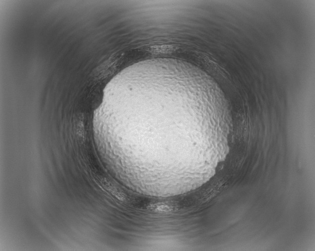X0000058790655200510171321