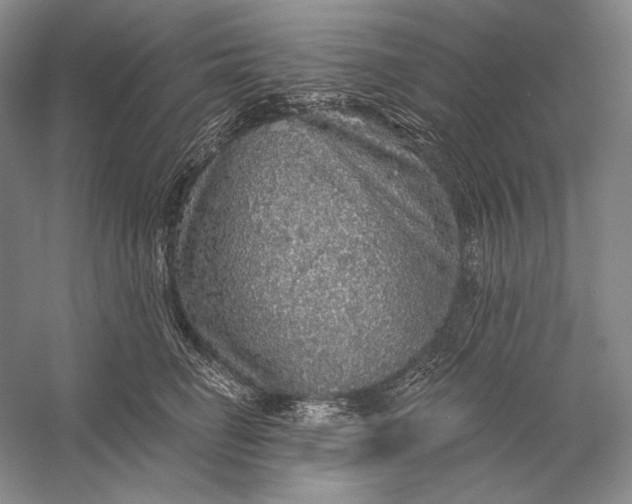 X0000058790662200510171321