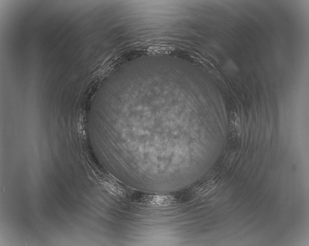 X0000058790663200510171321