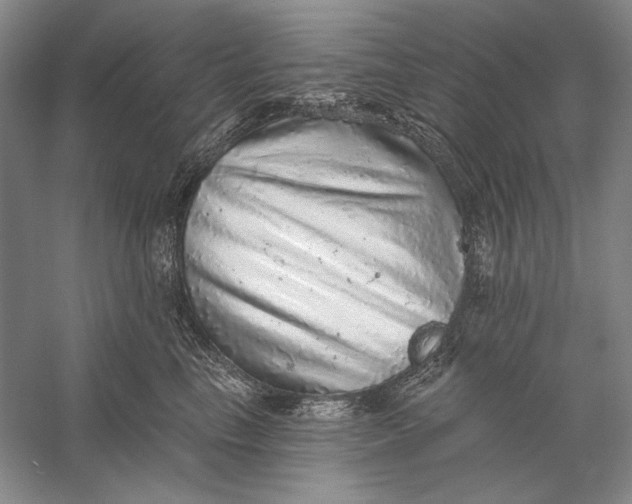 X0000058790665200510171321