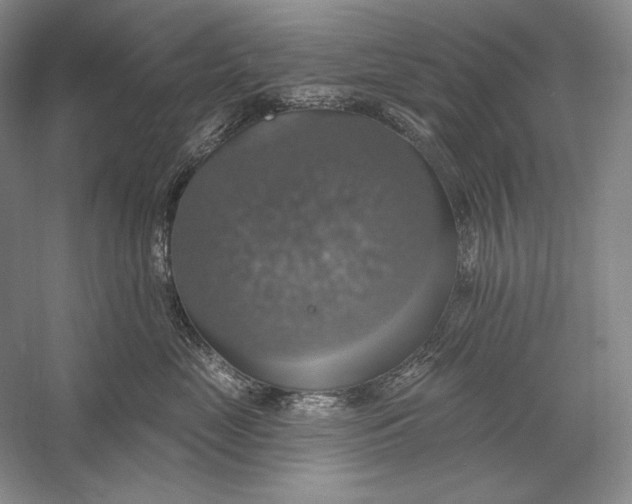 X0000058790669200510171321