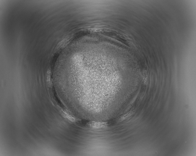 X0000058790670200510171321