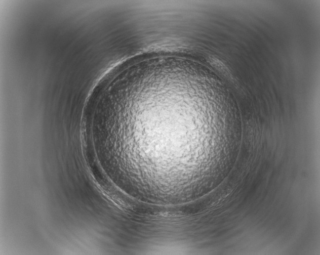 X0000058790680200510171321