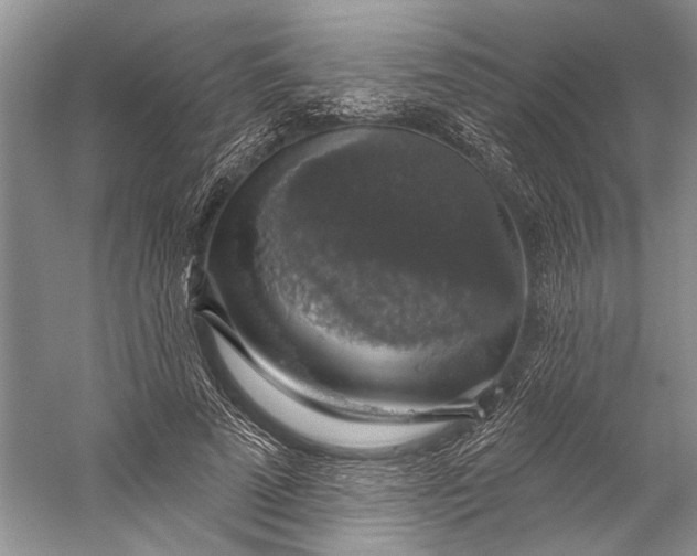 X0000058790689200510171320