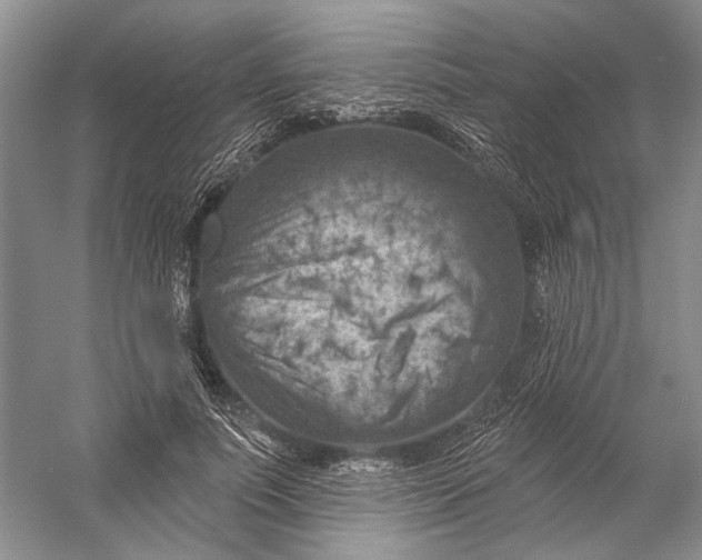 X0000058790691200510171320