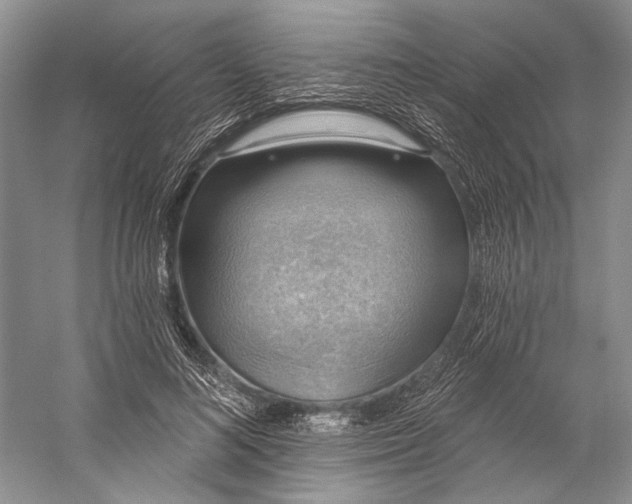 X0000058790692200510171320