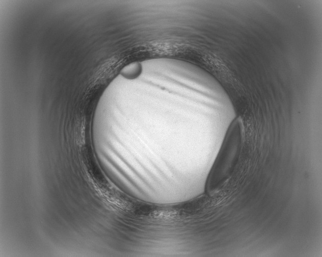 X0000058790694200510171320