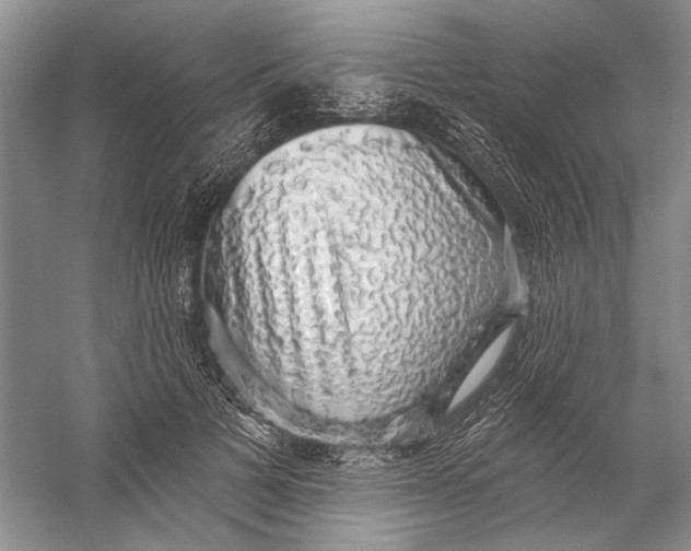 X0000058790697200510171320