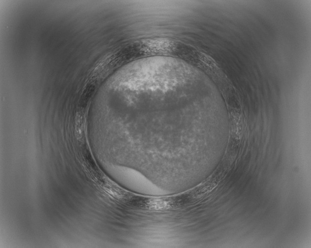 X0000058790701200510171320