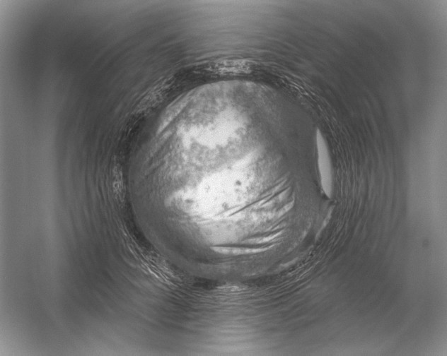 X0000058790704200510171320