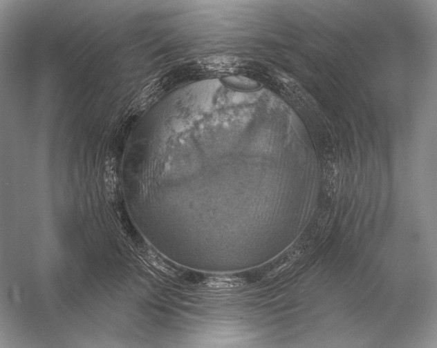 X0000058790707200510171320