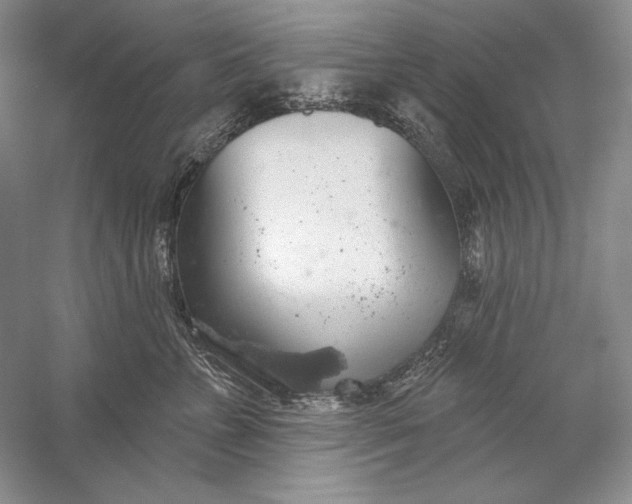 X0000058790715200510171320
