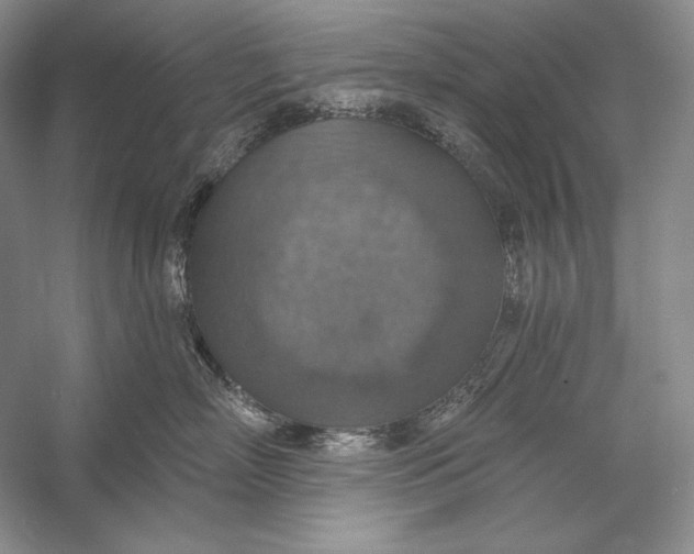 X0000058790718200510171320