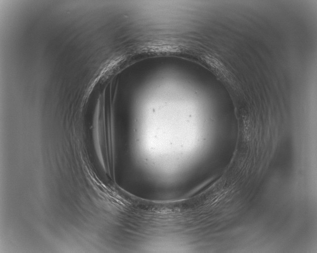 X0000058790731200510171319