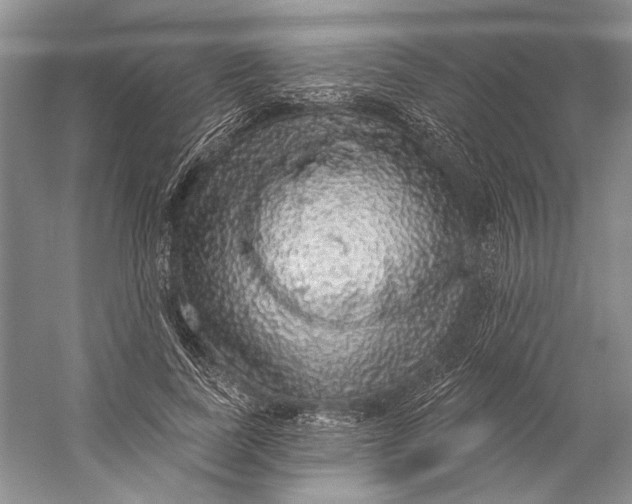 X0000058790739200510171319