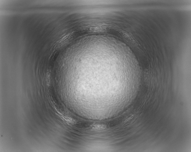 X0000058790741200510171319