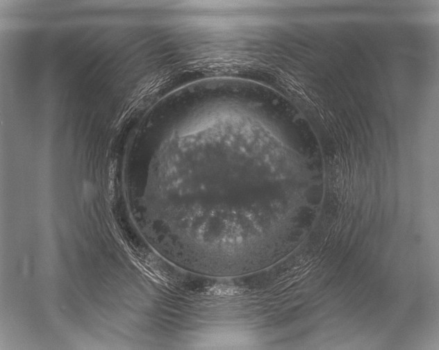 X0000058790742200510171319