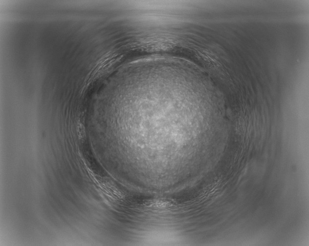 X0000058790743200510171319