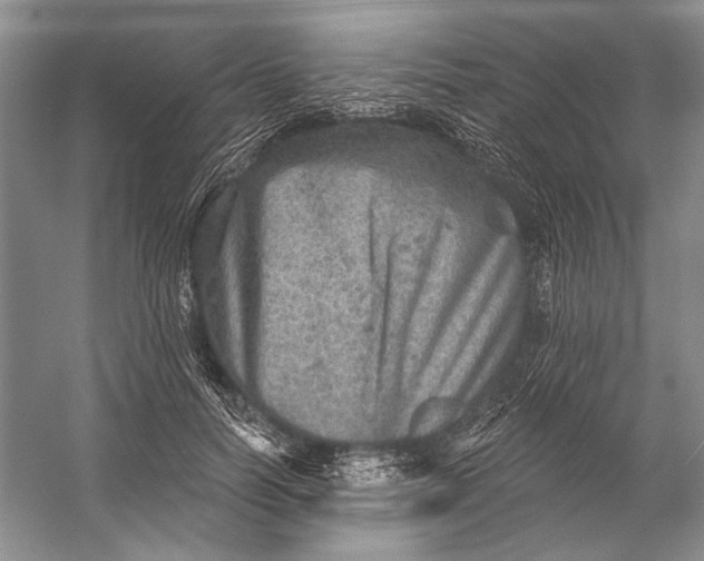 X0000058790746200510171319