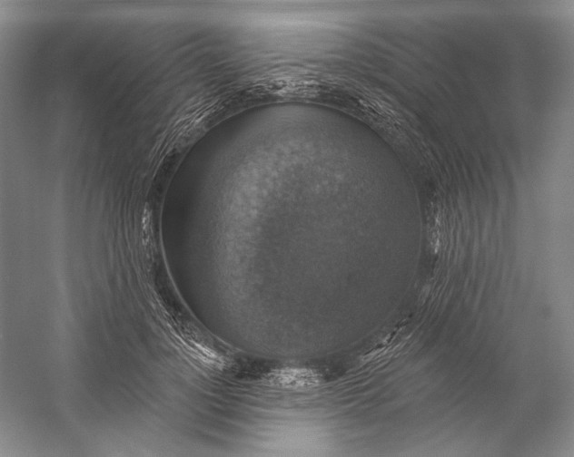 X0000058790748200510171319