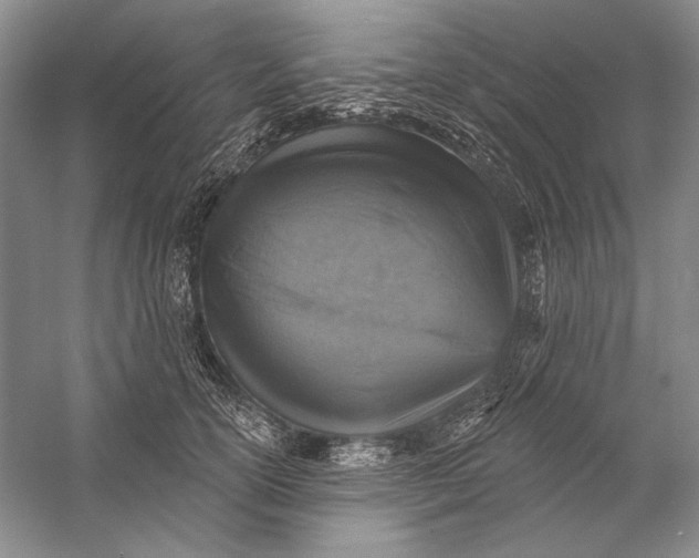 X0000058790754200510171320