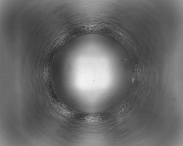 X0000058790756200510171320
