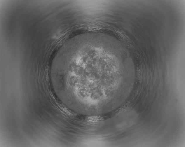 X0000058790757200510171320