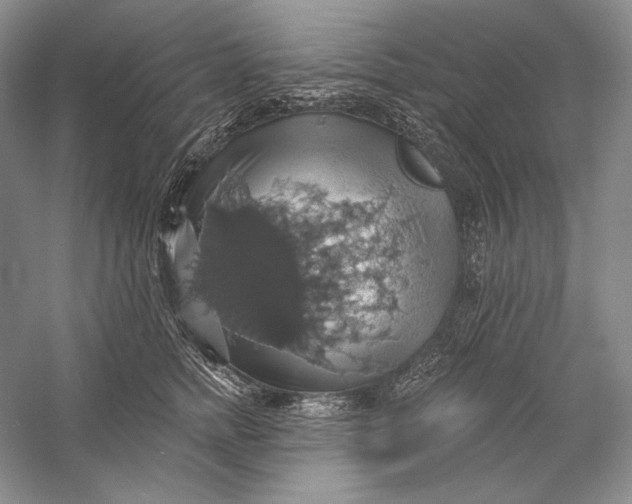 X0000058790758200510171320