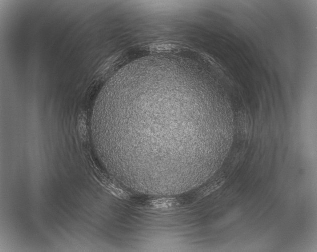 X0000058790761200510171320
