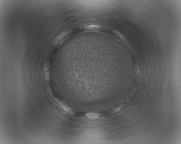 X0000058790762200510171320