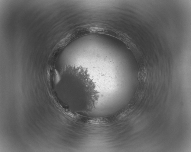X0000058790763200510171320
