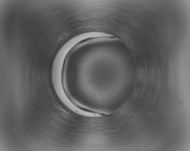 X0000058790766200510171320
