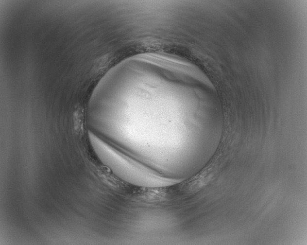 X0000058790768200510171320