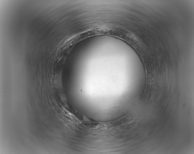 X0000058790773200510171319