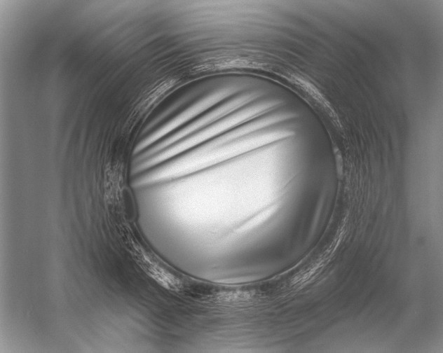 X0000058790793200510171319