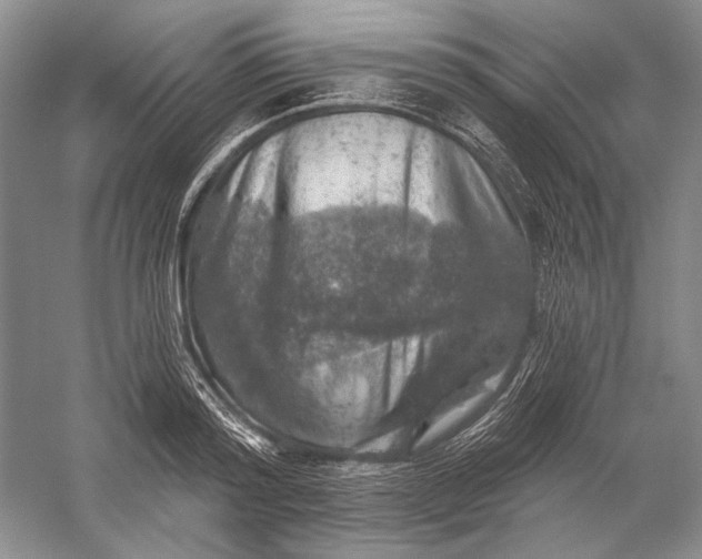 X0000058790796200510171318