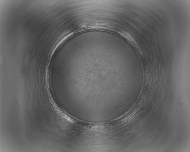 X0000058790798200510171318