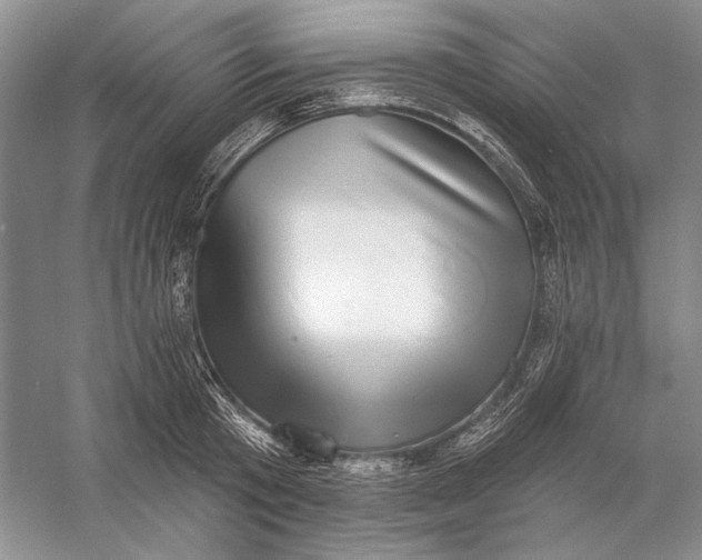 X0000058790801200510171318