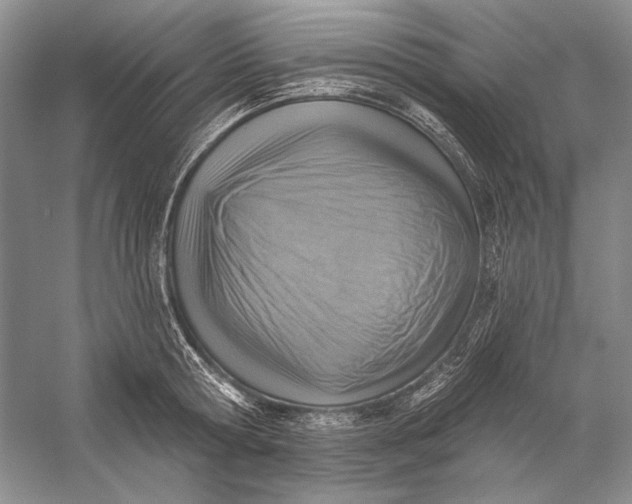 X0000058790802200510171318