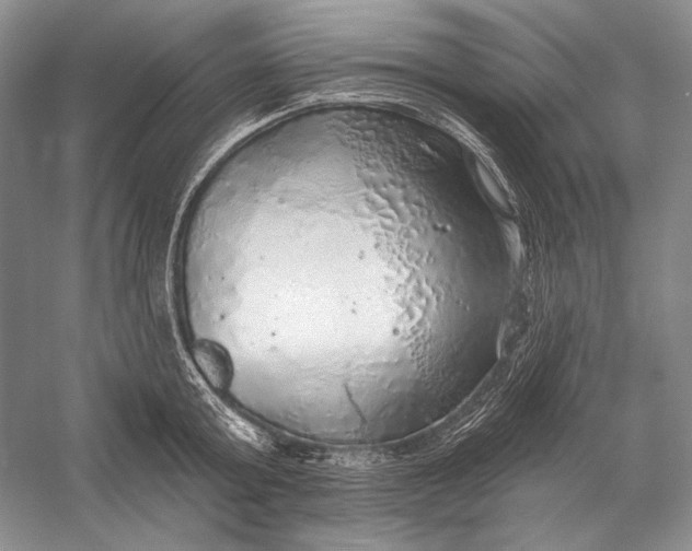 X0000058790803200510171318