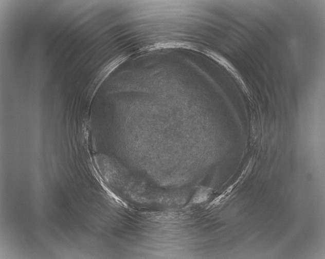 X0000058790809200510171318