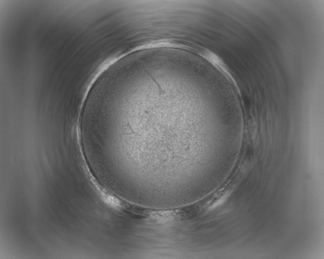 X0000058790813200510171318