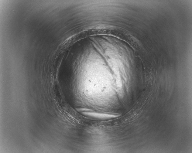 X0000058790821200510171317