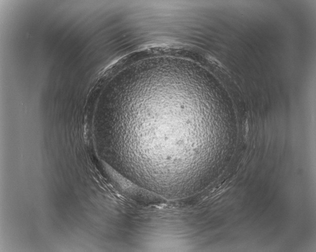 X0000058790822200510171317