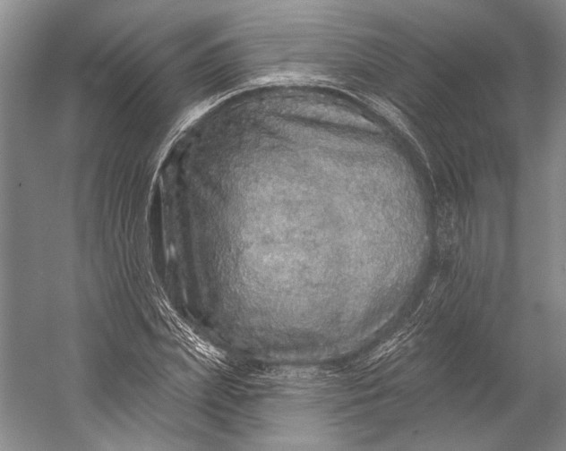 X0000058790831200510171318