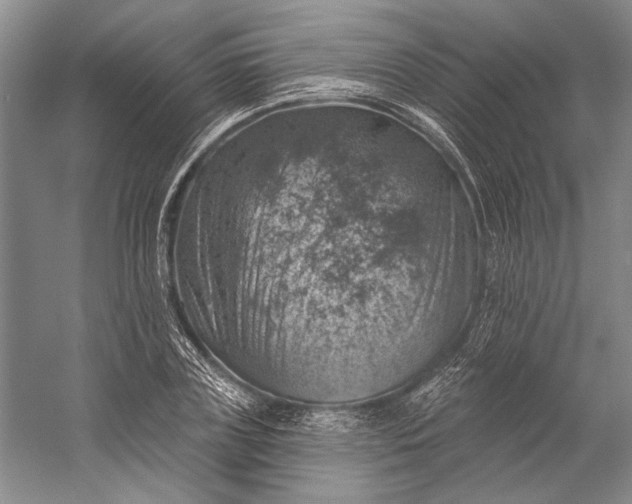 X0000058790835200510171318