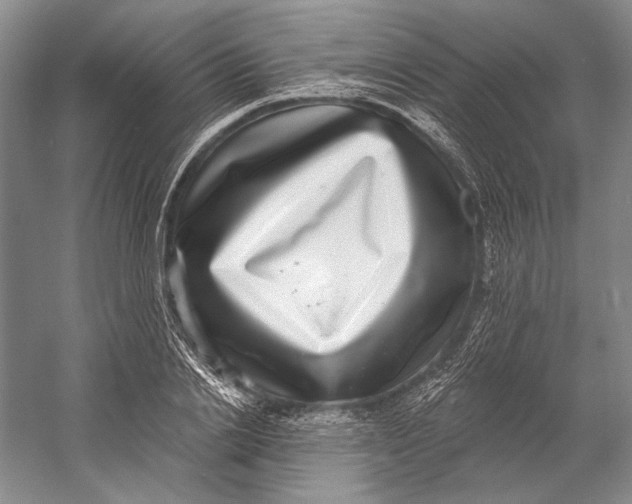 X0000058790838200510171318