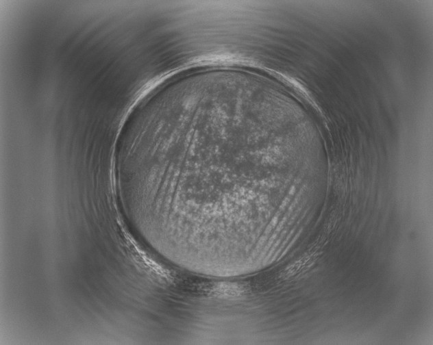 X0000058790839200510171318