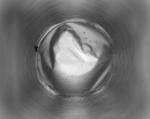 X0000058790860200510171318